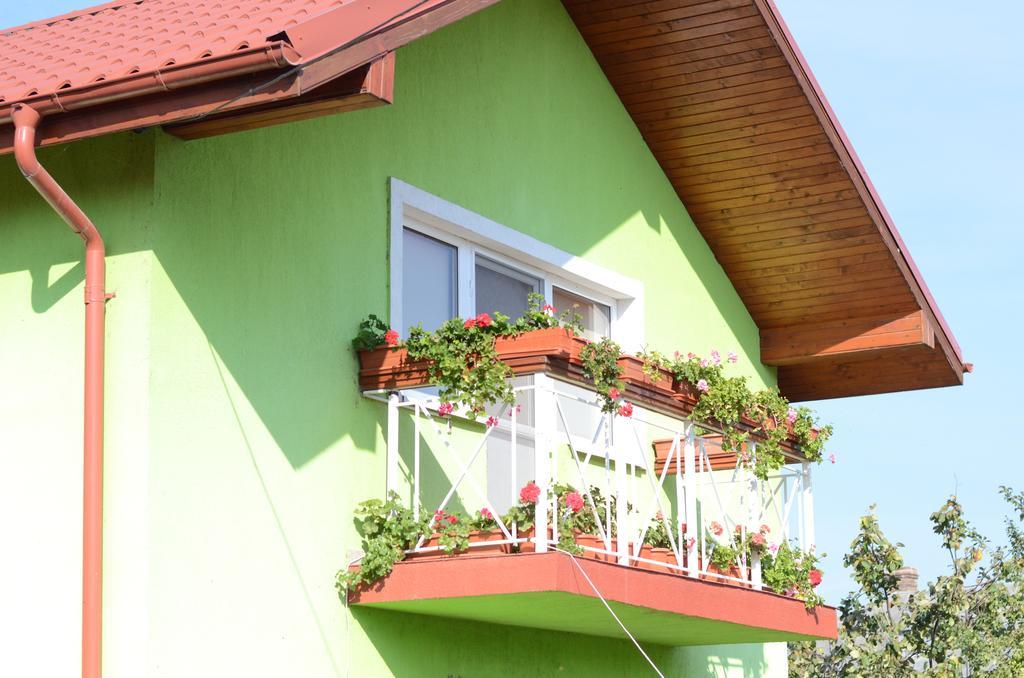 Casa Nelu Pescaru Hotel Mahmudia Buitenkant foto