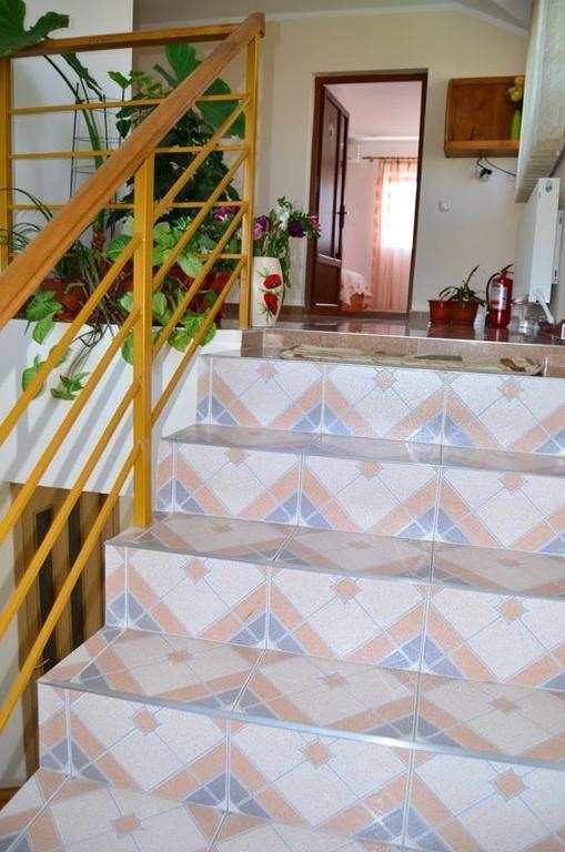 Casa Nelu Pescaru Hotel Mahmudia Buitenkant foto