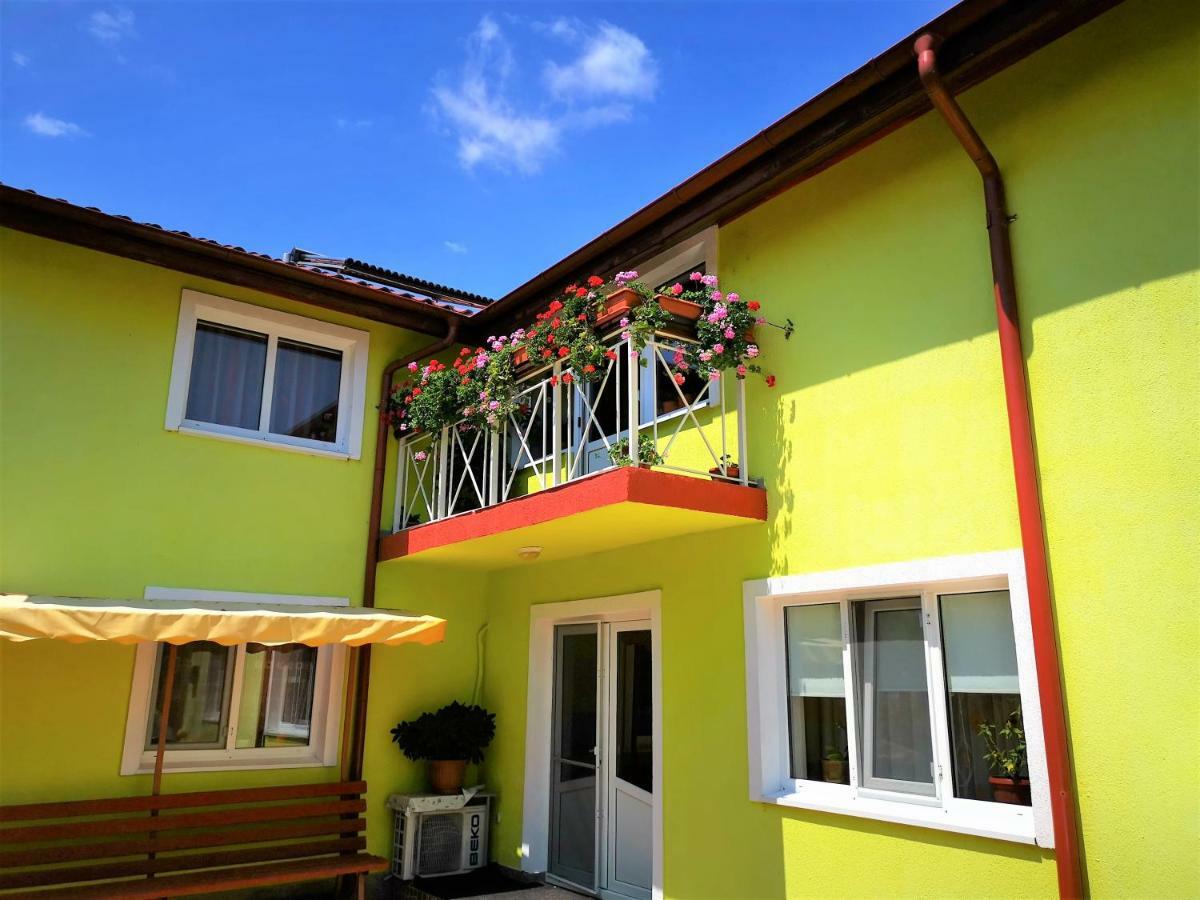 Casa Nelu Pescaru Hotel Mahmudia Buitenkant foto